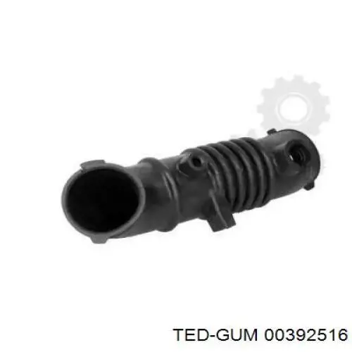 00392516 Ted-gum 