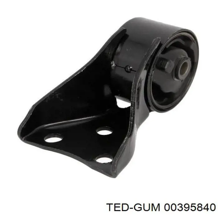  00395840 Ted-gum
