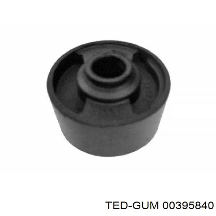00395840 Ted-gum 