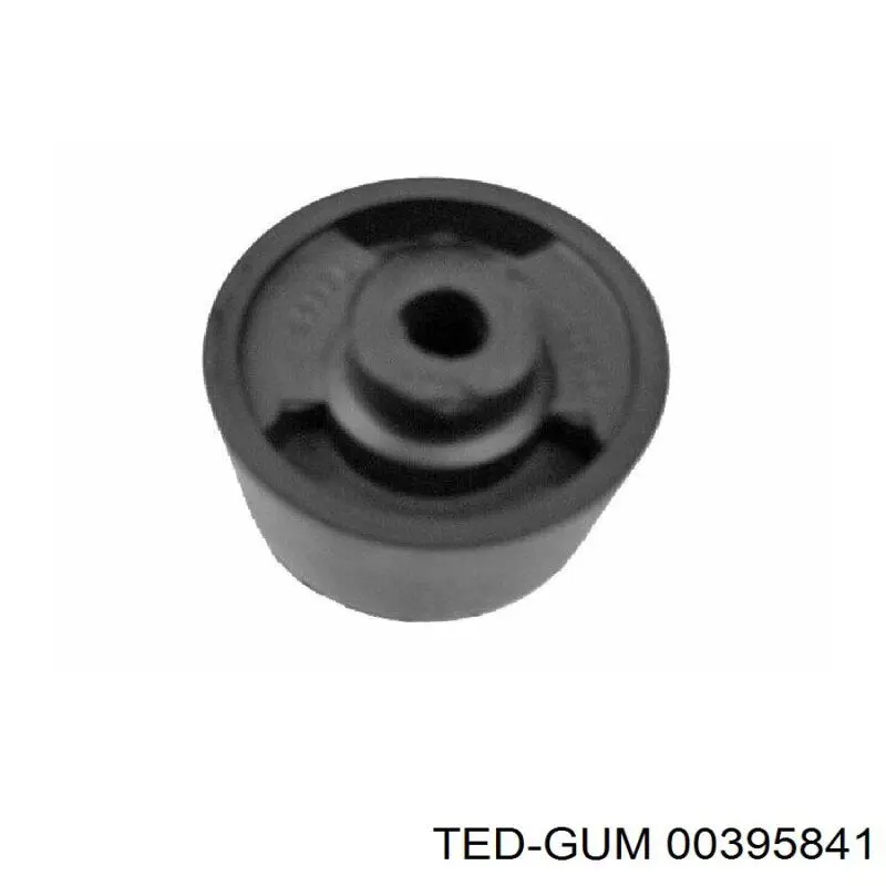 00395841 Ted-gum 