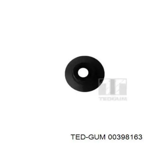 00398163 Ted-gum 