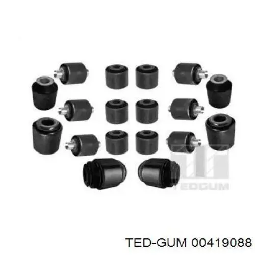  00419088 Ted-gum