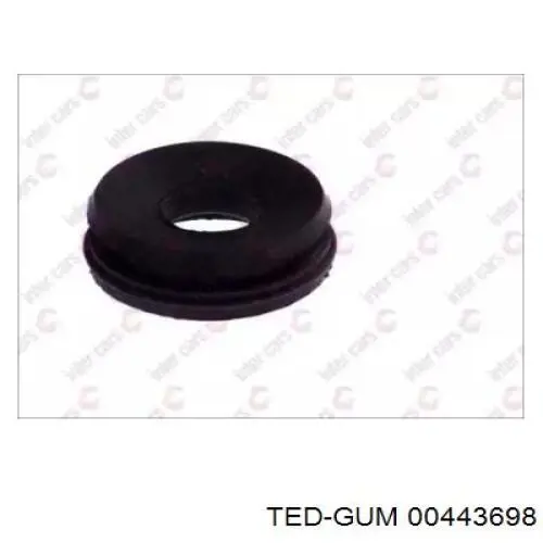  00443698 Ted-gum