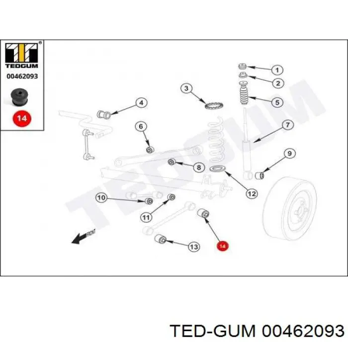  00462093 Ted-gum