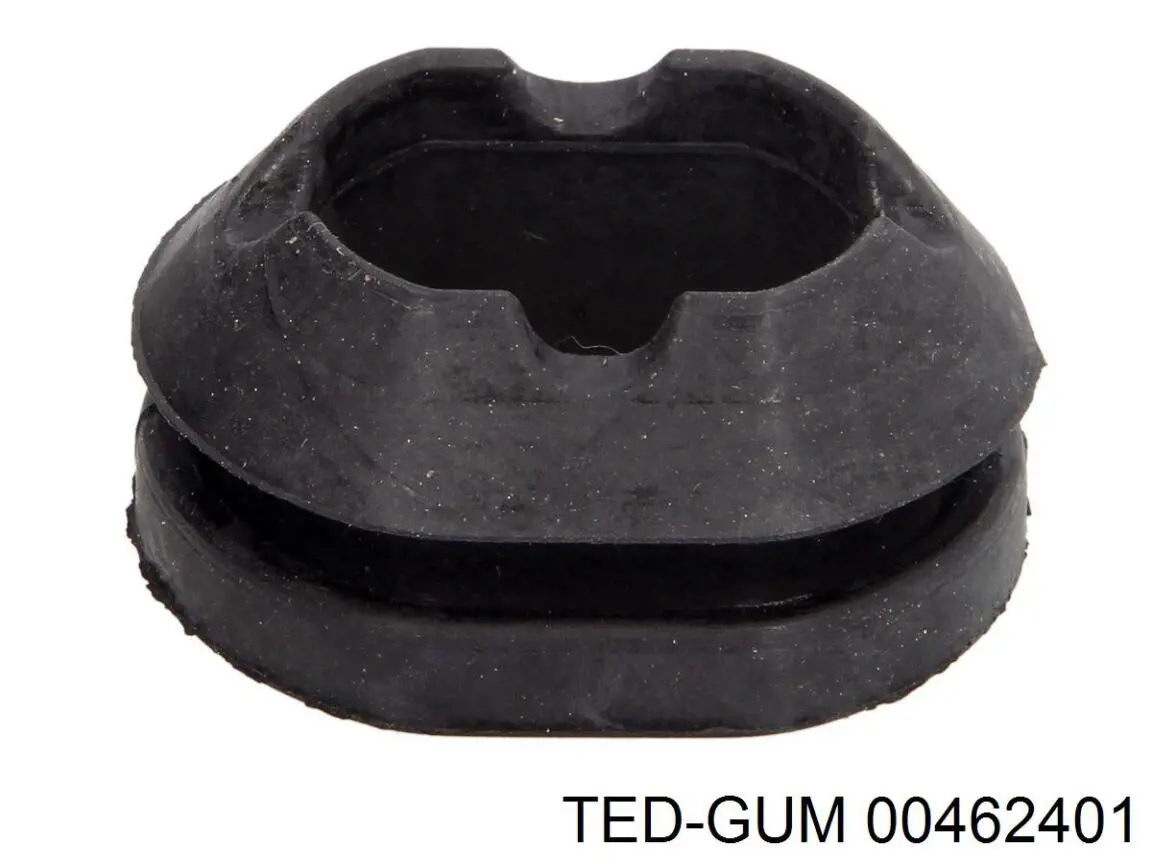  00462401 Ted-gum