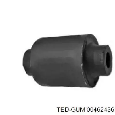00462436 Ted-gum 