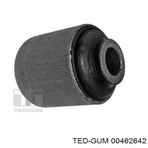  00462642 Ted-gum