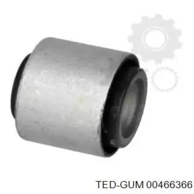 00466366 Ted-gum 