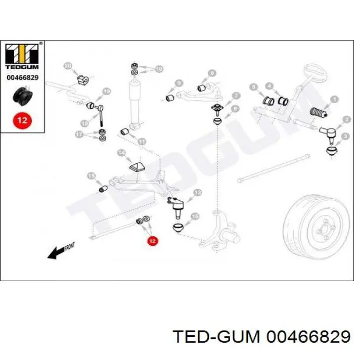  00466829 Ted-gum