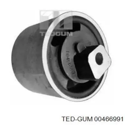 00466991 Ted-gum 