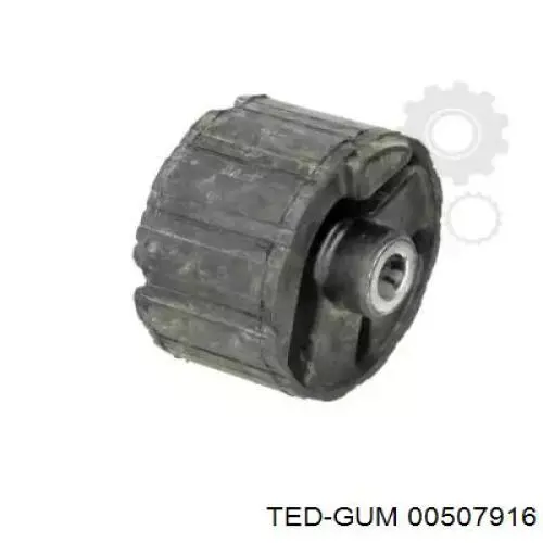  507916 Ted-gum