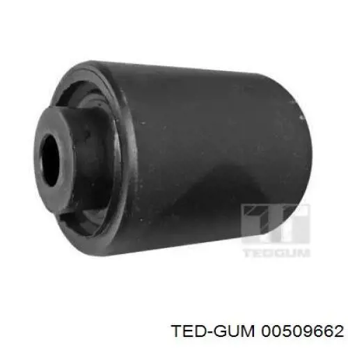 509662 Ted-gum 
