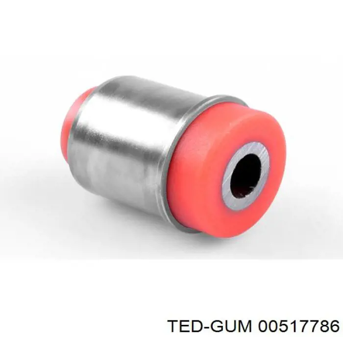  00517786 Ted-gum