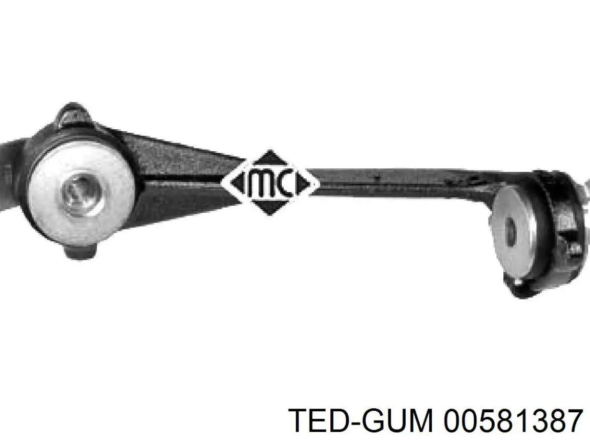  00581387 Ted-gum