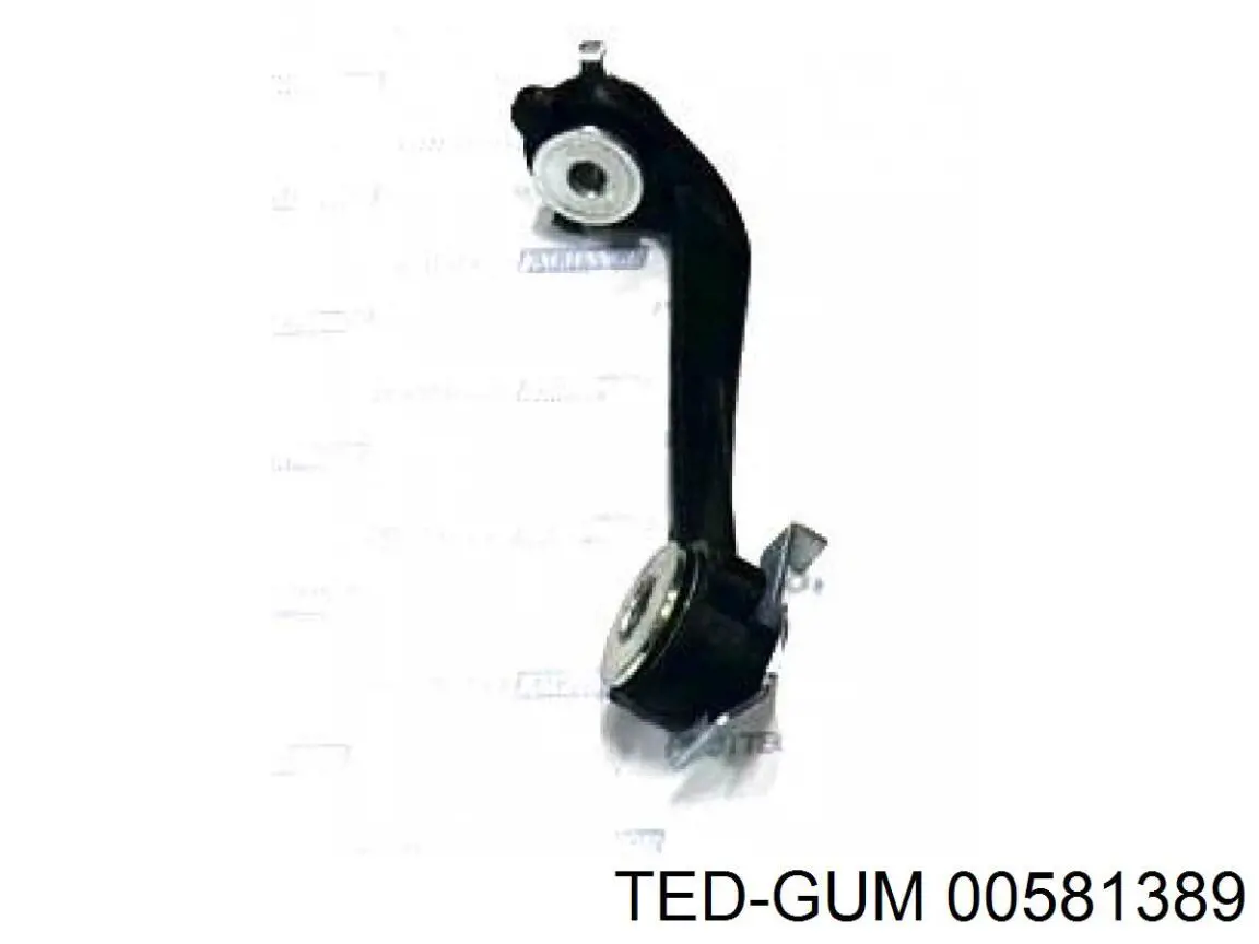  00581389 Ted-gum