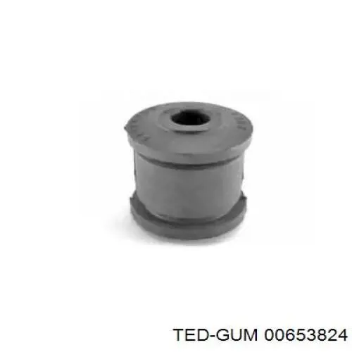  00653824 Ted-gum