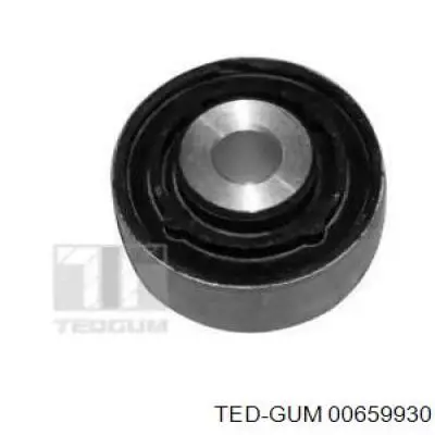  00659930 Ted-gum