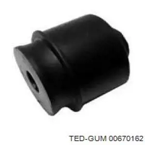 Купити 00670162 Ted-gum Сайлентблок заднього нижнього важеля