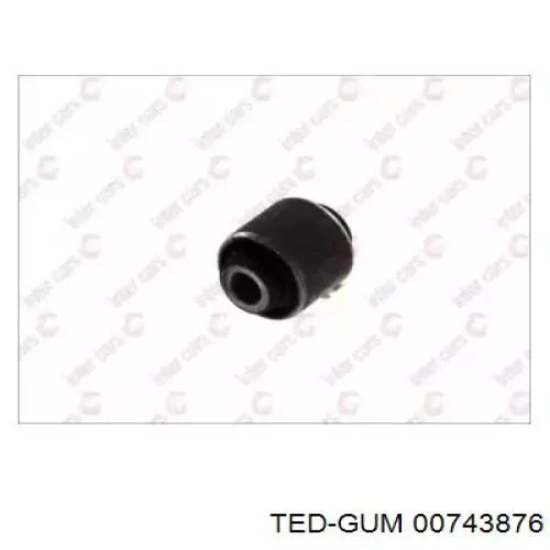 00743876 Ted-gum 