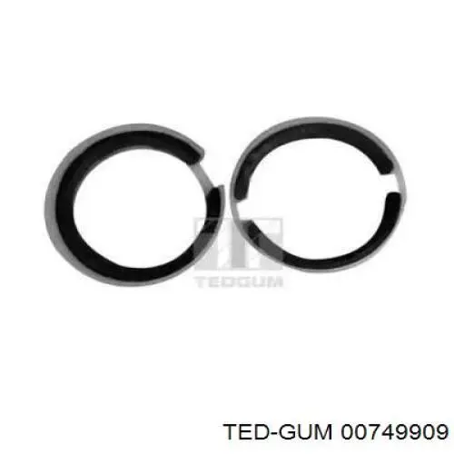 00749909 Ted-gum Ремкомплект шкворня поворотного кулака