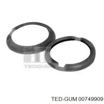 Купити 00749909 Ted-gum Ремкомплект шкворня поворотного кулака