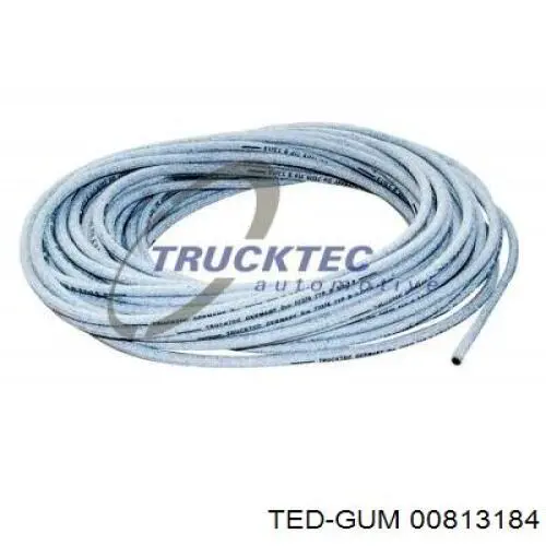 00813184 Ted-gum 