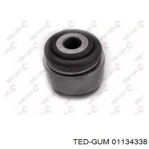 01134338 Ted-gum 