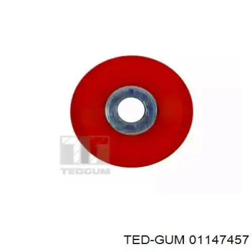  01147457 Ted-gum