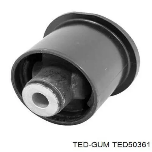  TED50361 Ted-gum