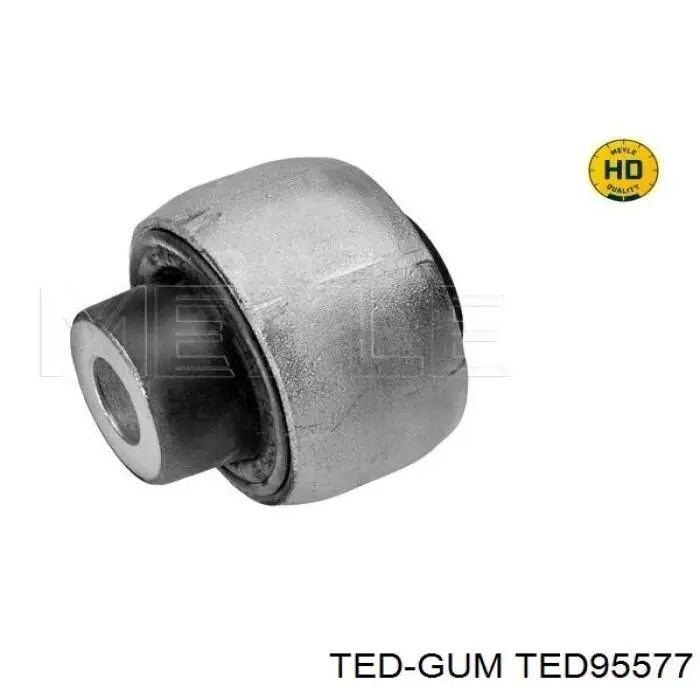 TED95577 Ted-gum 