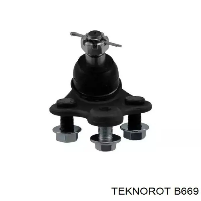  B669 Teknorot