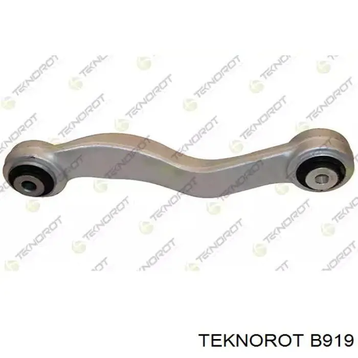 Купити B919 Teknorot Важіль задньої підвіски верхній, лівий