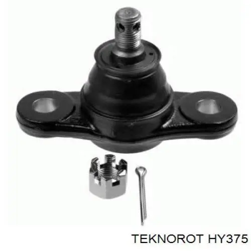 Купити HY375 Teknorot Кульова опора, нижня