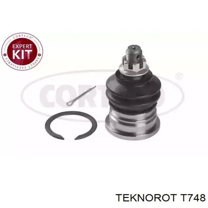 Важіль передньої підвіски верхній, правий Teknorot T748 ціна, від 41.12 USD