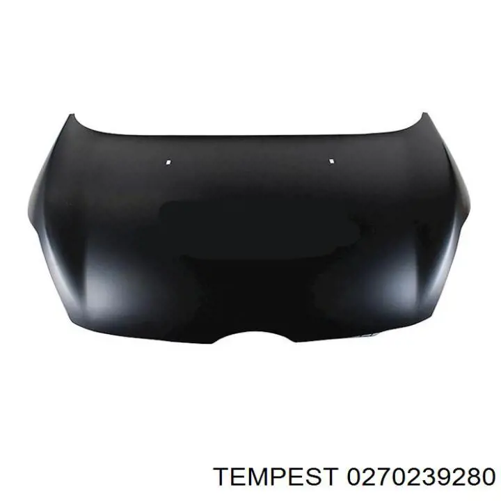 Капот FPS 3204280 ціна, від 117.47 USD