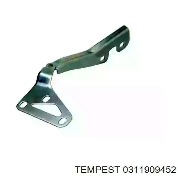 0311909452 Tempest Завіс капота, правий