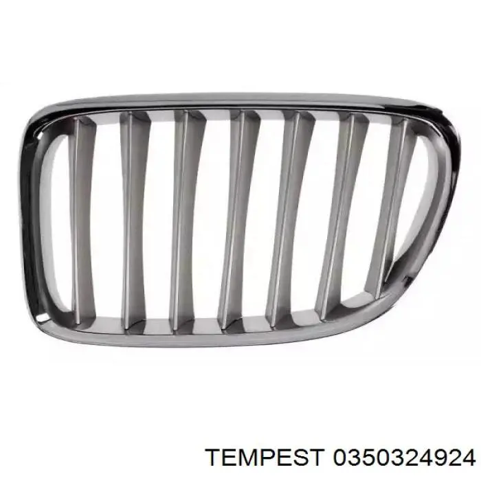 Купити 0350324924 Tempest Кронштейн переднього номерного знака
