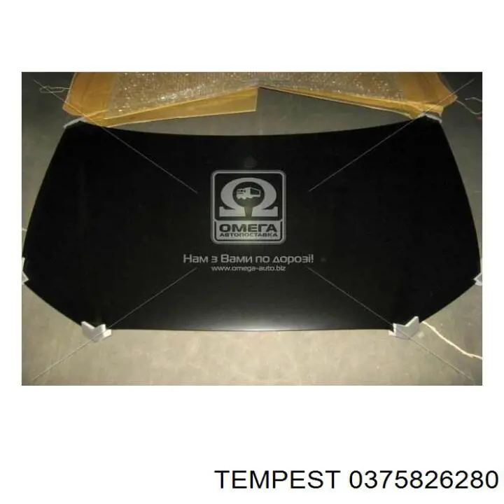  0375826280 Tempest