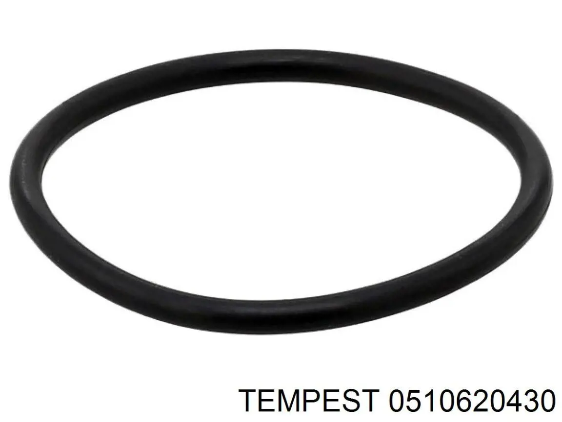 0510620430 Tempest Дзеркальний елемент правий