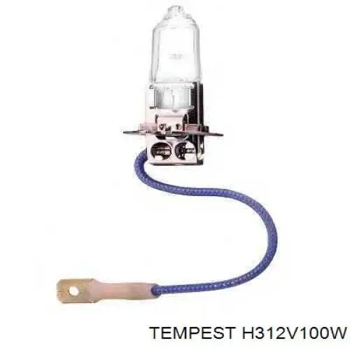 H312V100W Tempest лампочка галогенна