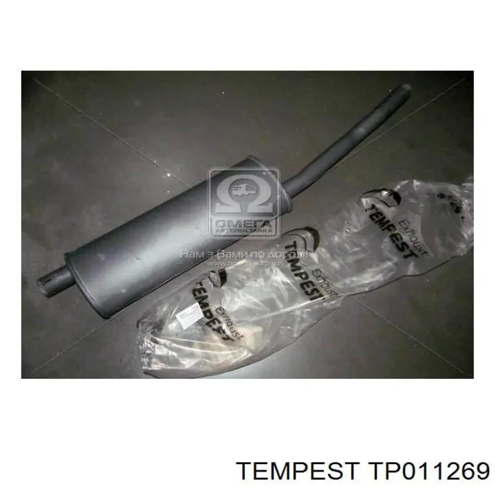 Труба вихлопна, від каталізатора до глушника TP011269 TEMPEST