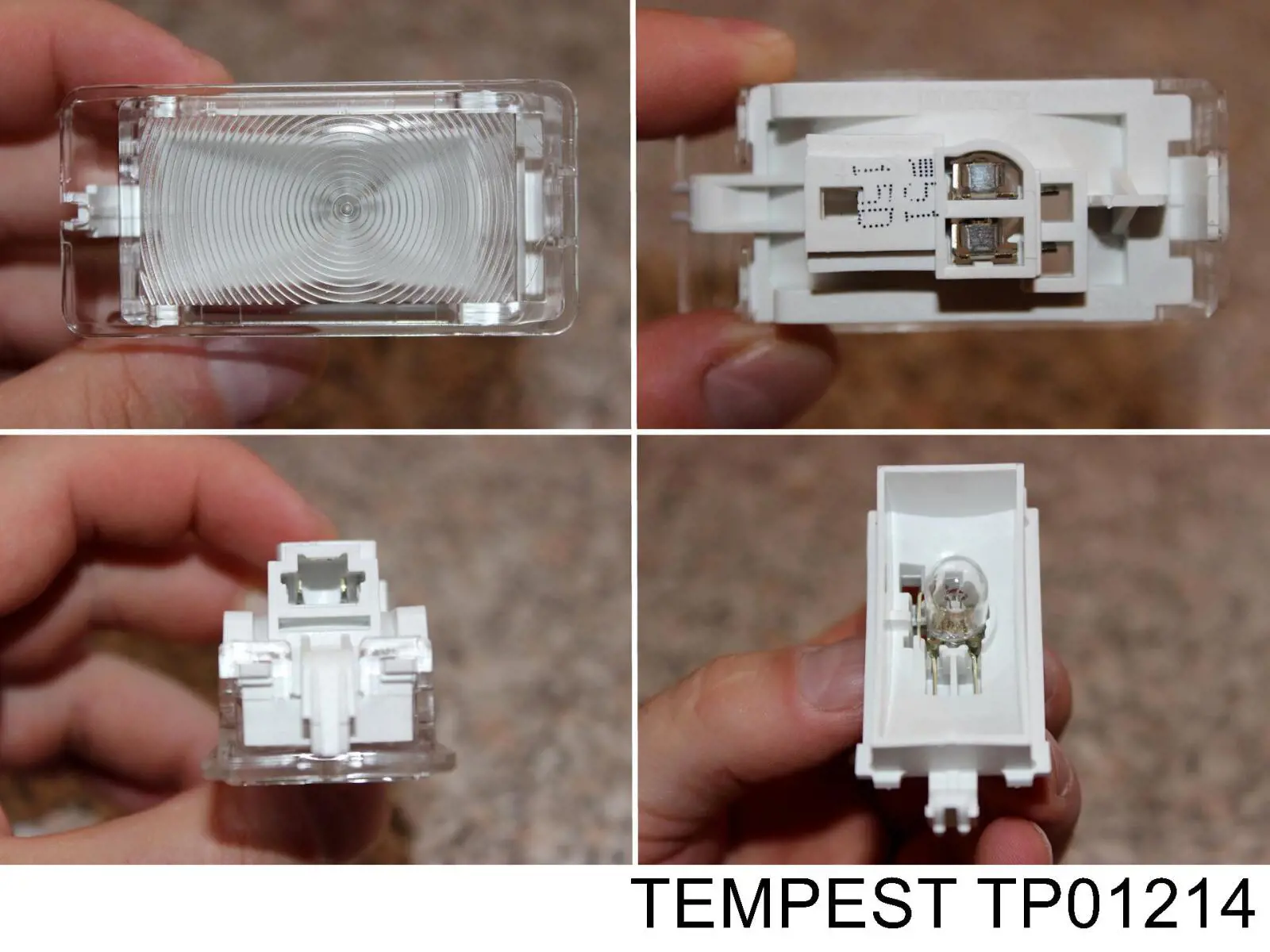 TP01214 Tempest 