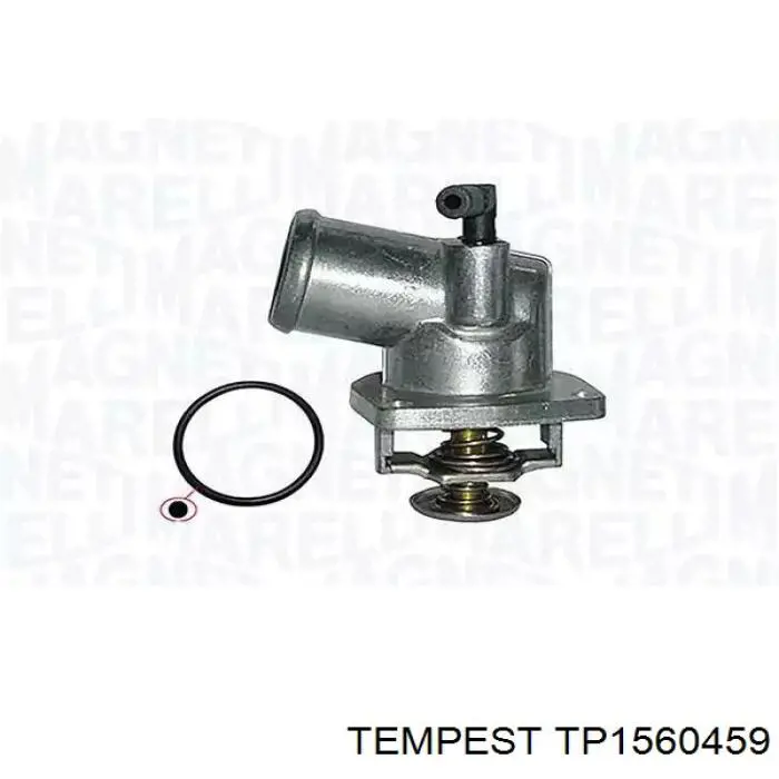 TP1560459 Tempest Радіатор охолодження двигуна