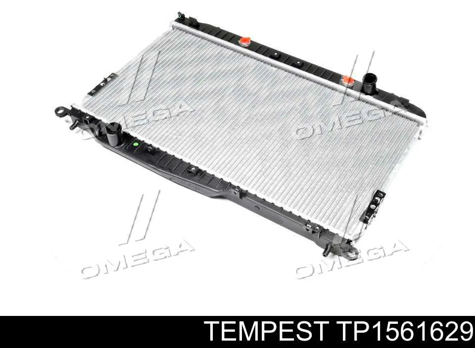 TP1561629 Tempest Радіатор охолодження двигуна