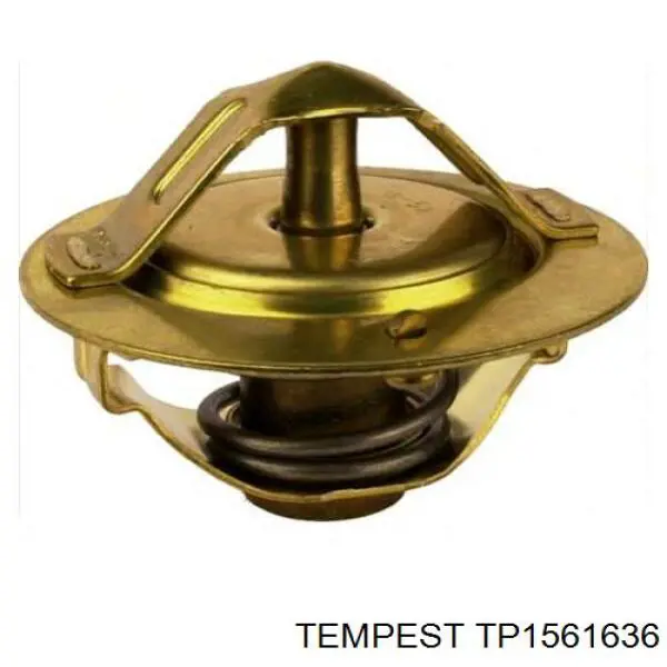 Радіатор основний Tempest TP1561636 ціна, від 40.02 USD