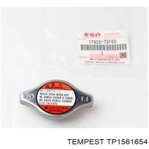 TP1561654 Tempest Радіатор охолодження двигуна