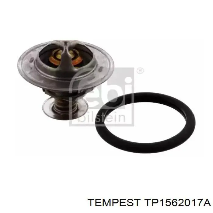 Радіатор основний Tempest TP1562017A ціна, від 49.18 USD