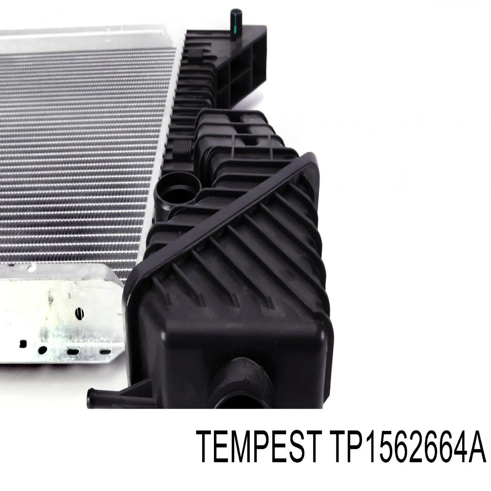 Купити TP1562664A Tempest Радіатор двигуна
