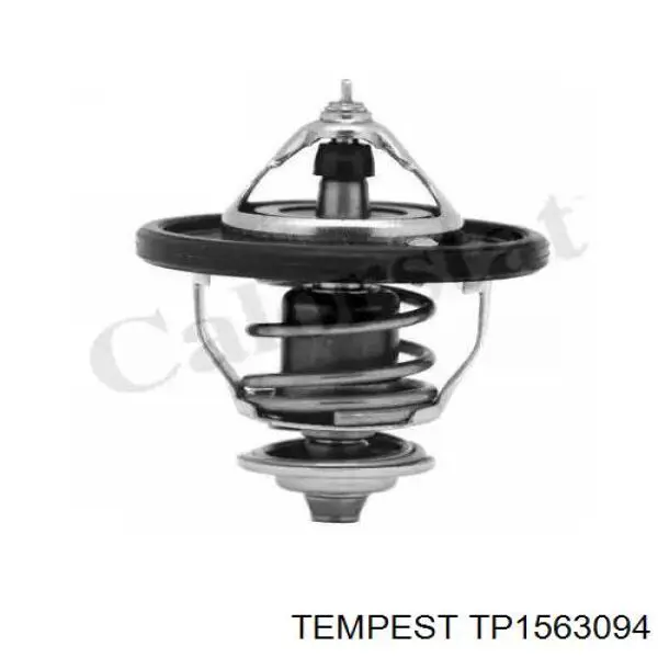 Радіатор основний Tempest TP1563094 ціна, від 46.27 USD