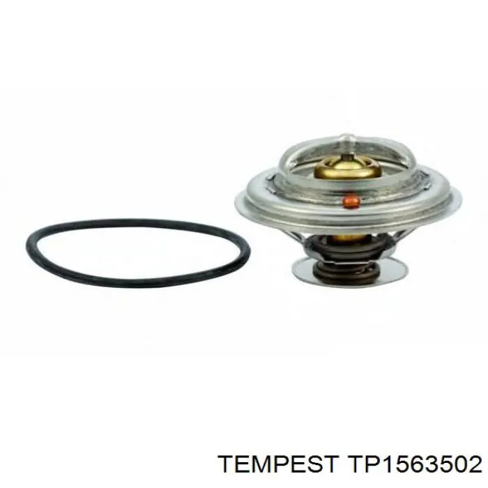 Купити TP1563502 Tempest Радіатор двигуна